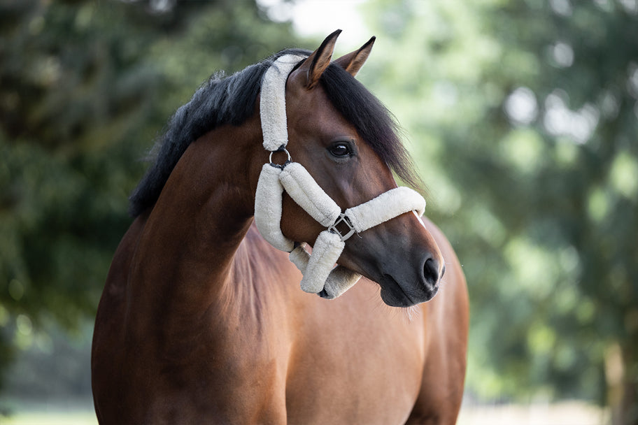 allergyCARE hilft bei allergischem Asthma