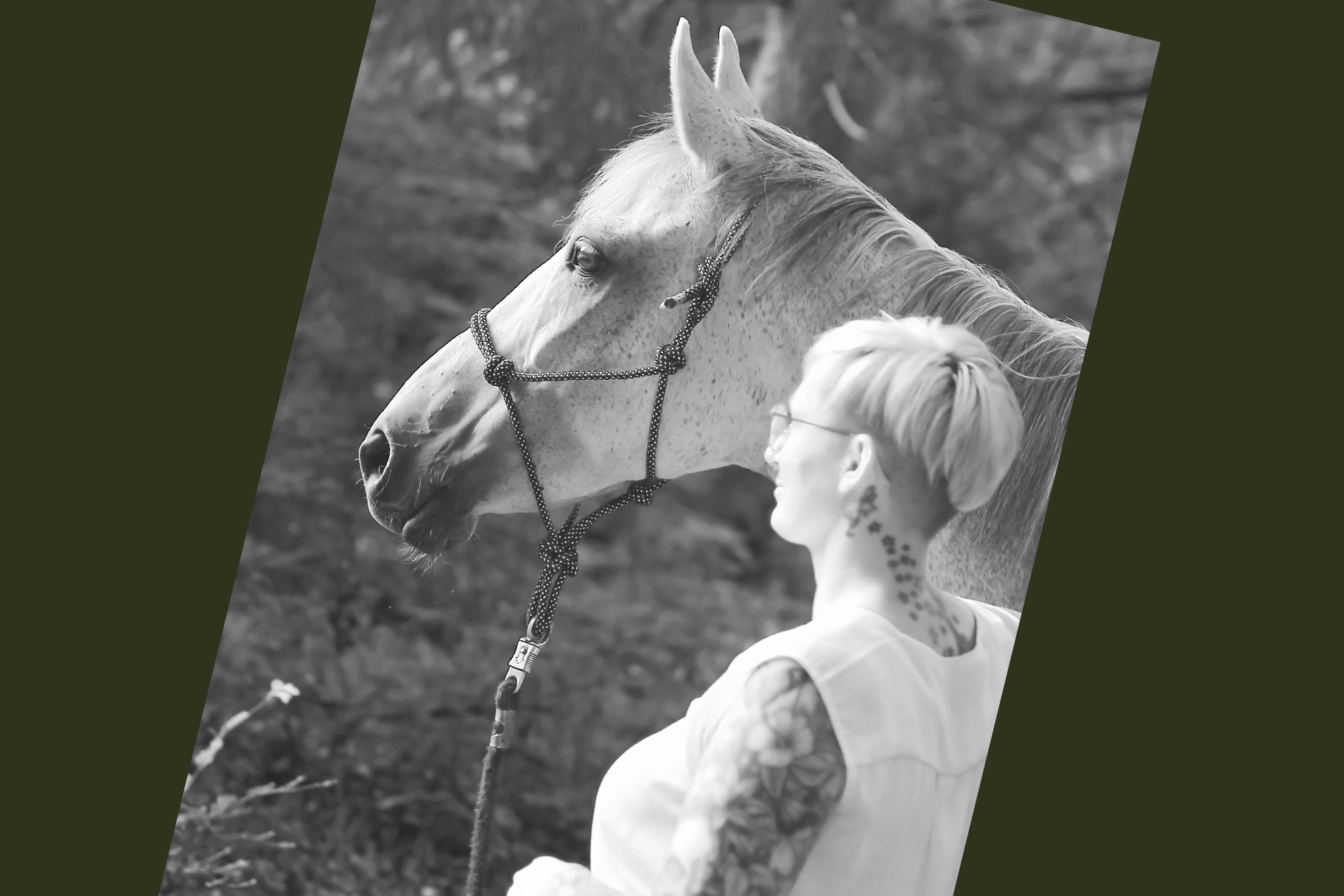 Kundenfoto eines Pferdes zum Seewinkler Erfahrungsbericht