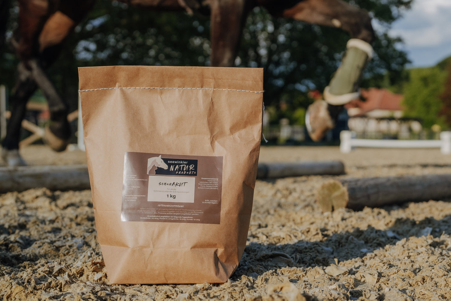 Arthrose und Gelenkprobleme im Sommer – Hilfe für Deinen Vierbeiner