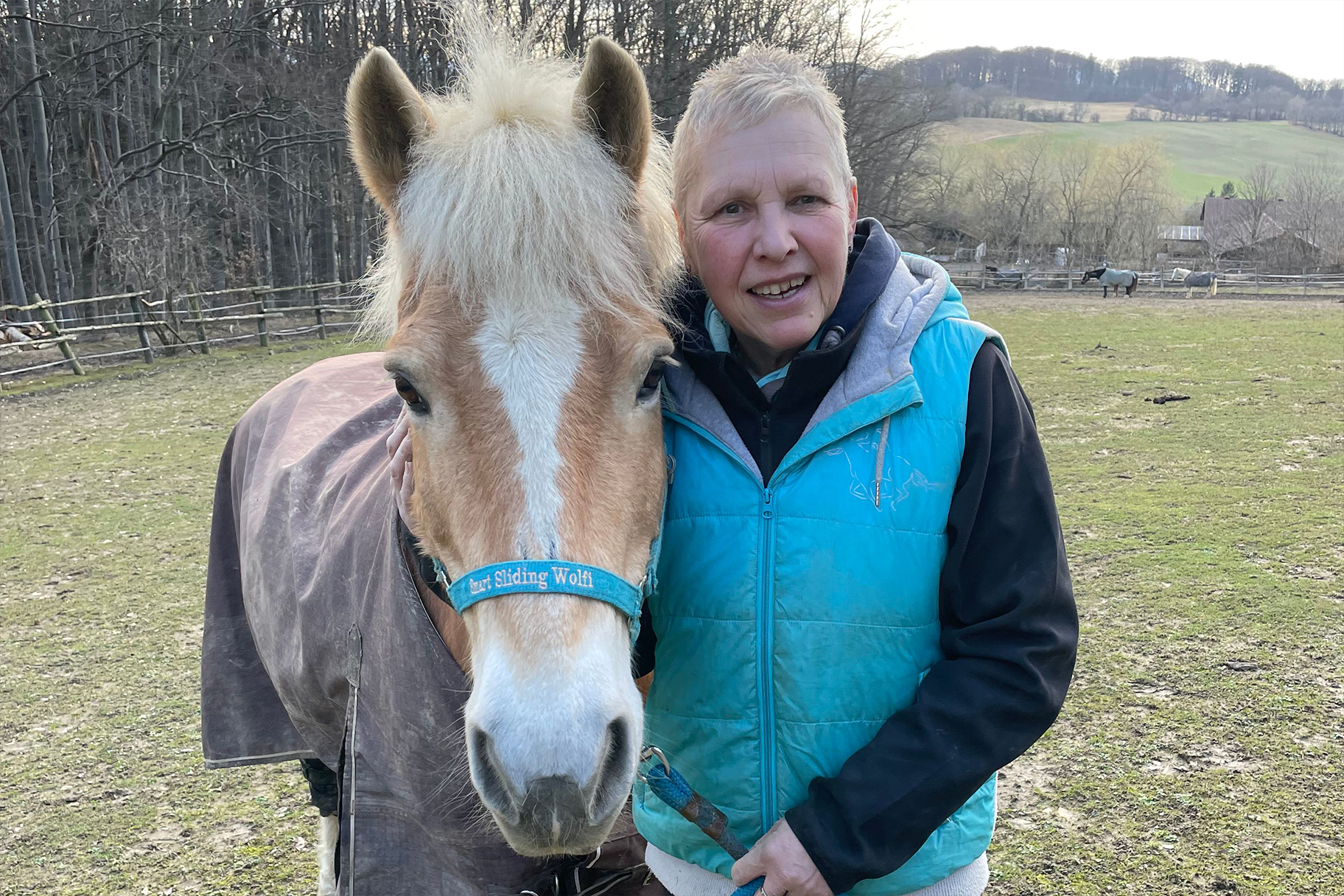 Haflinger Wolfi entspannt dank Seewinkler CBD-Öl neben Besitzerin auf der Koppel