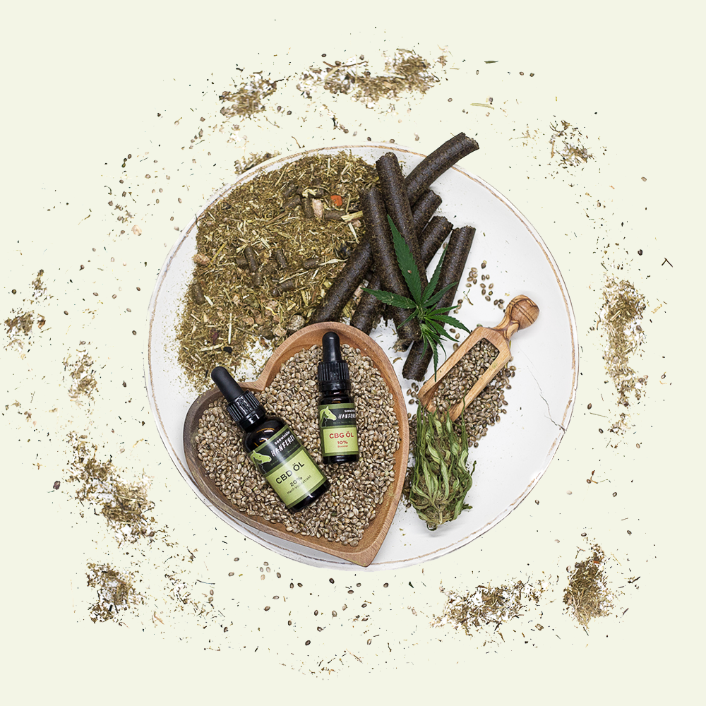 seewinkler 6-Wochen-Kur auf Teller präsentiert