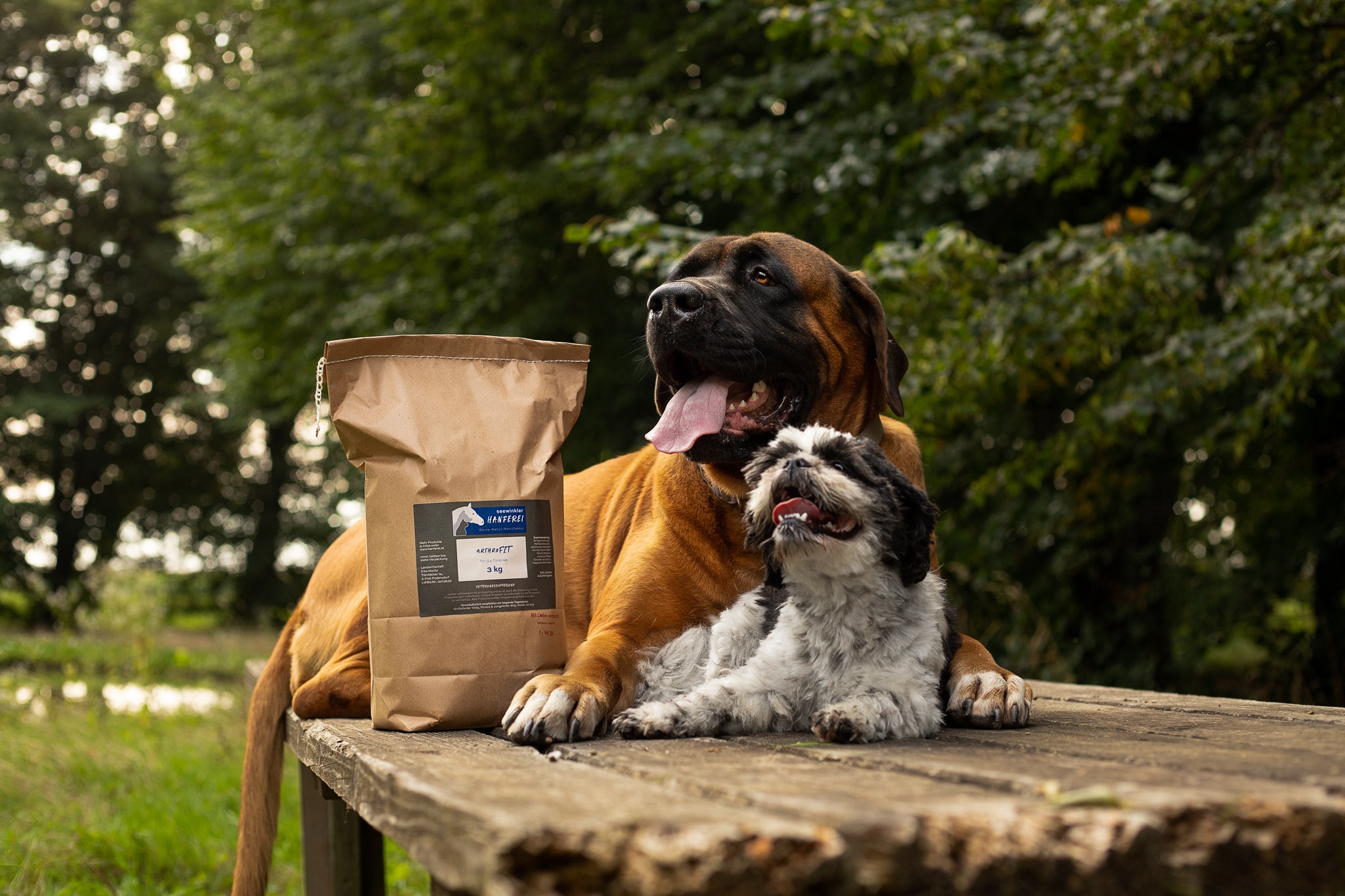 seewinkler arthroFIT auf einem Tisch mit Hunden