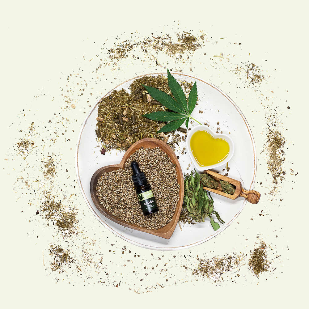 seewinkler CBD Öl 10% für Menschen auf Teller präsentiert