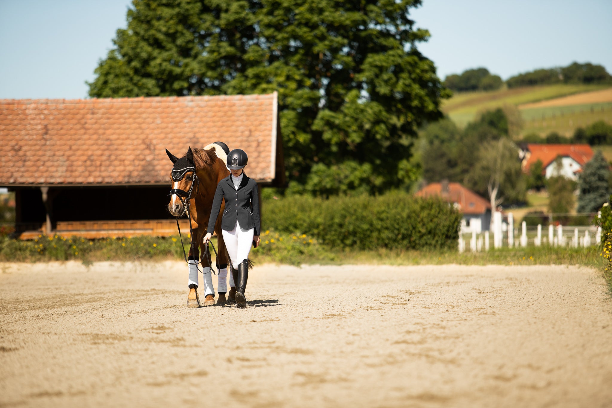 seewinkler Pferd wird an der Hand warm gegangen
