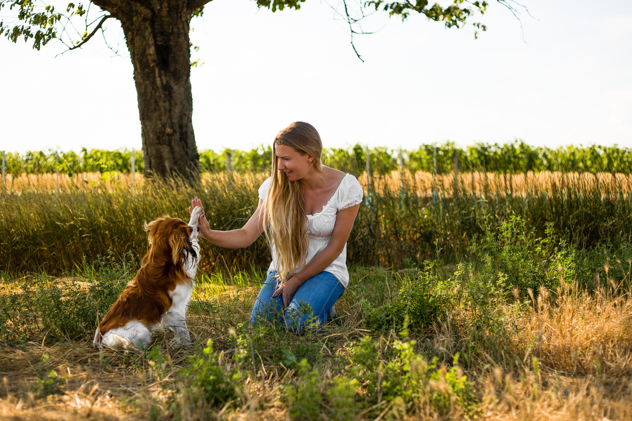 Thesi mit Hund in der Wiese