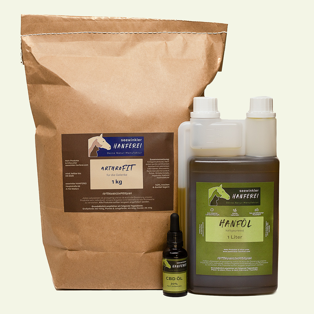 seewinkler arthroKOMBI arthroFIT mit hanföl und CBD Öl 20%