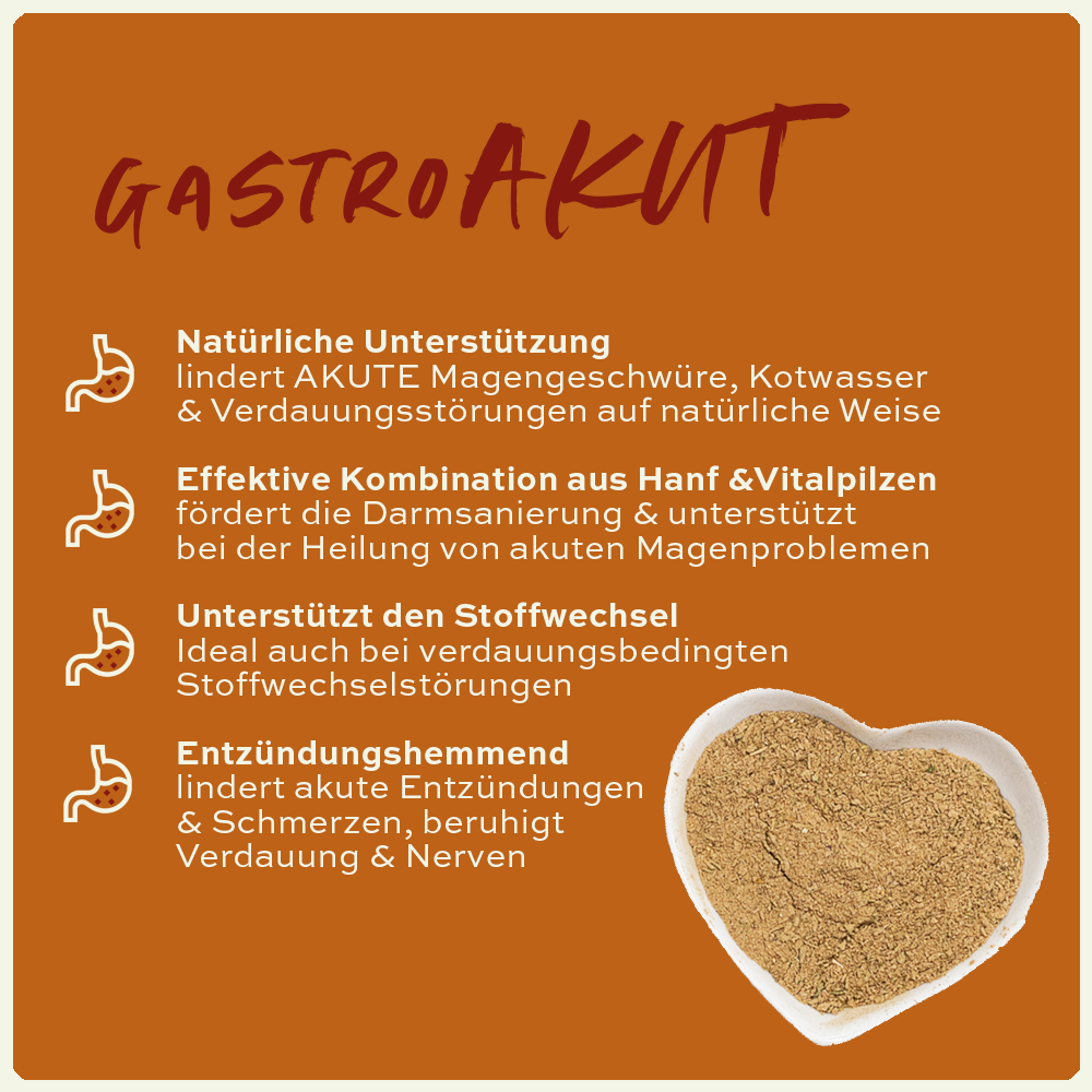 seewinkler gastroAKUT in einer Schüssel mit Produktvorteilen aufgelistet