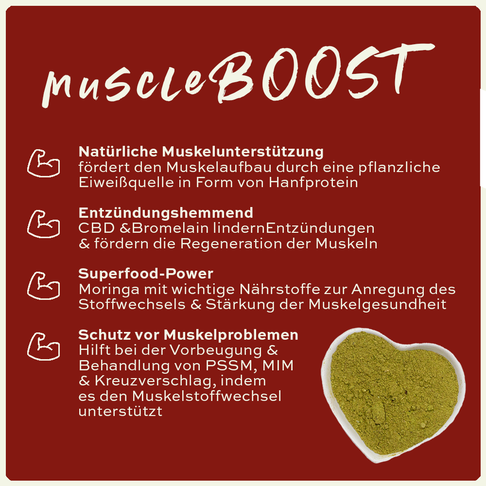 seewinkler muscleBOOST in einer Schüssel mit Produktvorteilen aufgelistet