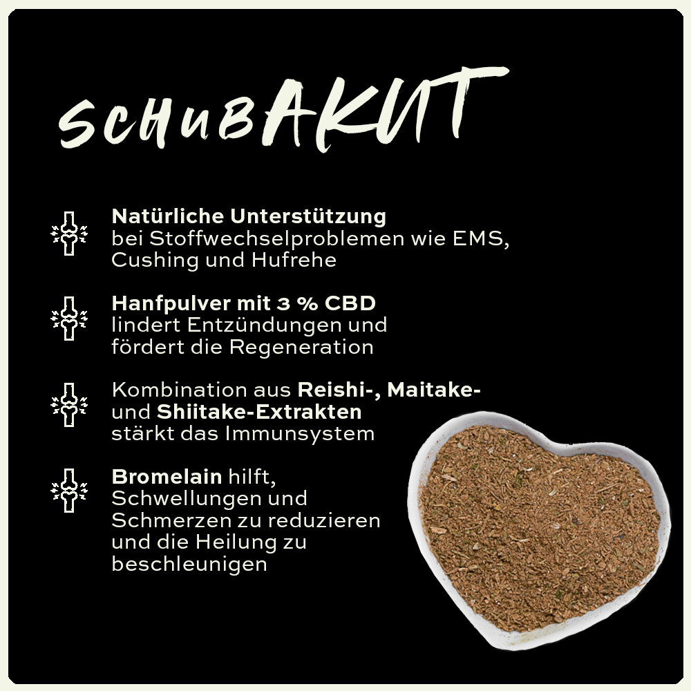 seewinkler schubAKUT in einer Schüssel mit Produktvorteilen aufgelistet