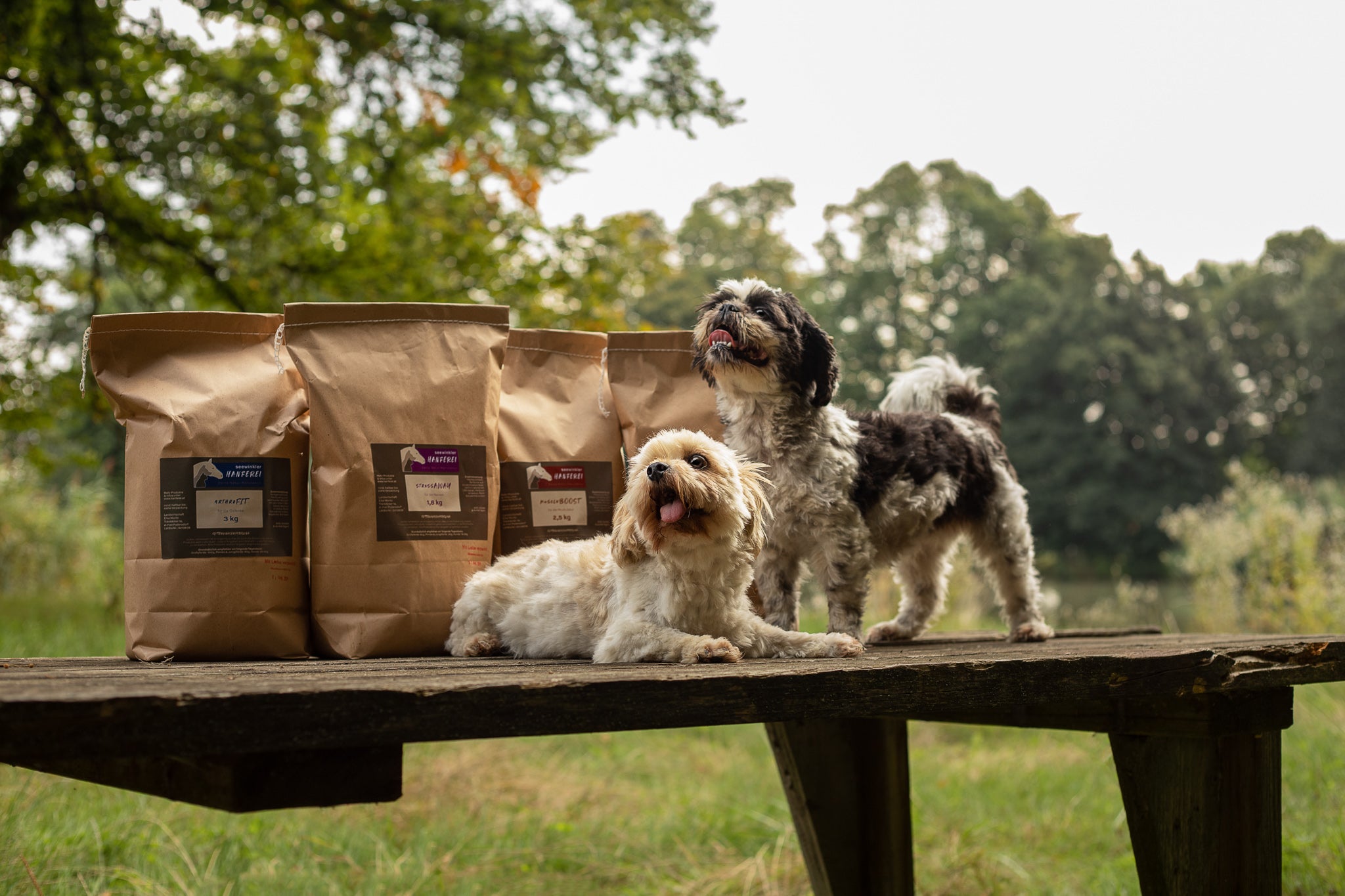 seewinkler Produkte mit Hunden auf einem Tisch