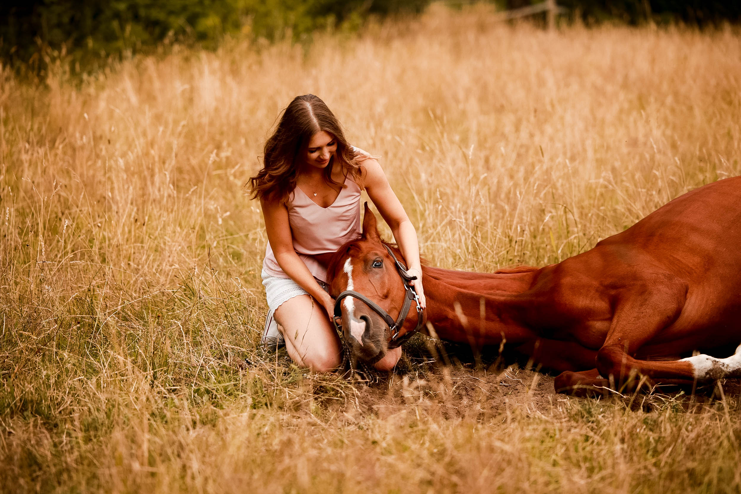 Pferd Feli liegt im Gras, den Kopf auf dem Schoß der Besitzerin, entspannt dank Seewinkler CBD-Tropfen