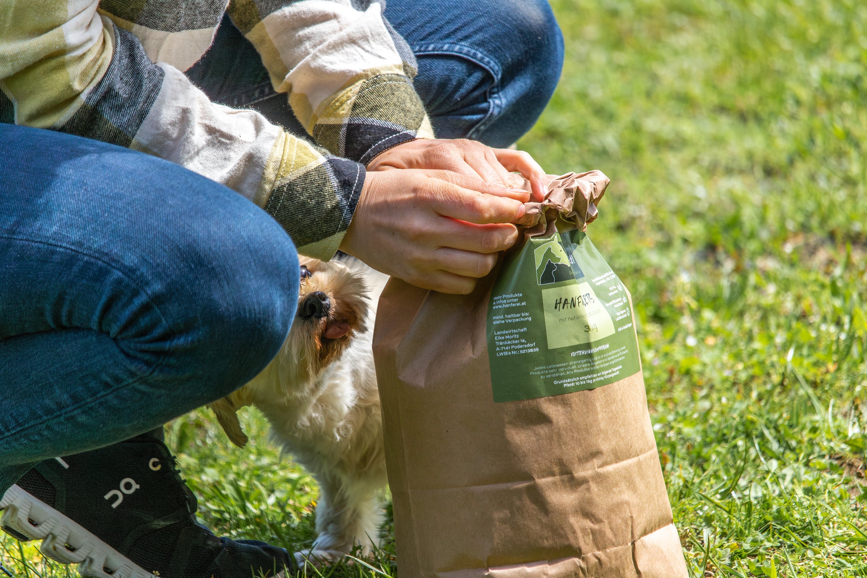EU-zertifizierter Nutzhanf auf einem Feld im Seewinkel