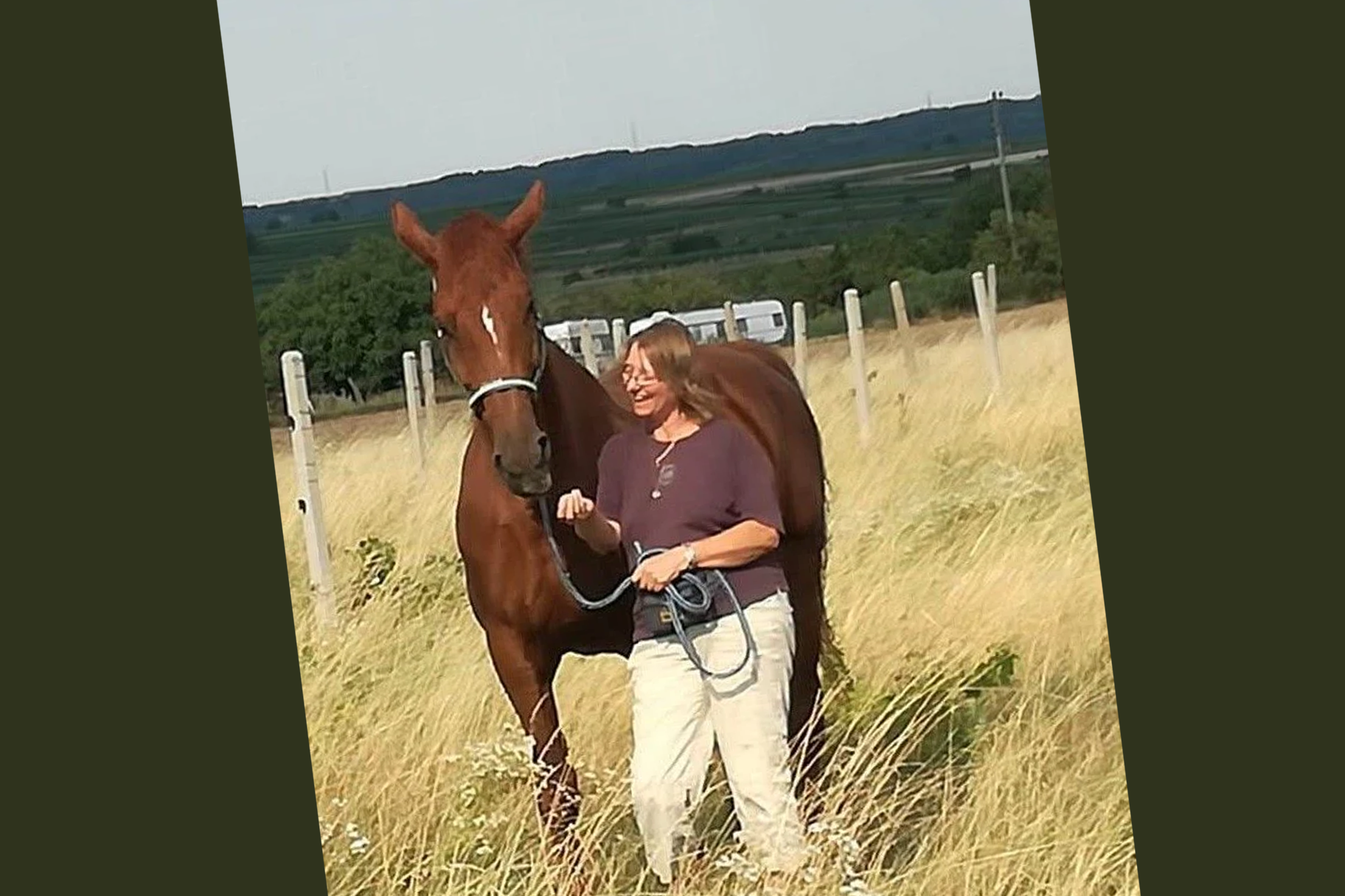 Kundenfoto eines Pferdes zum Seewinkler Erfahrungsbericht