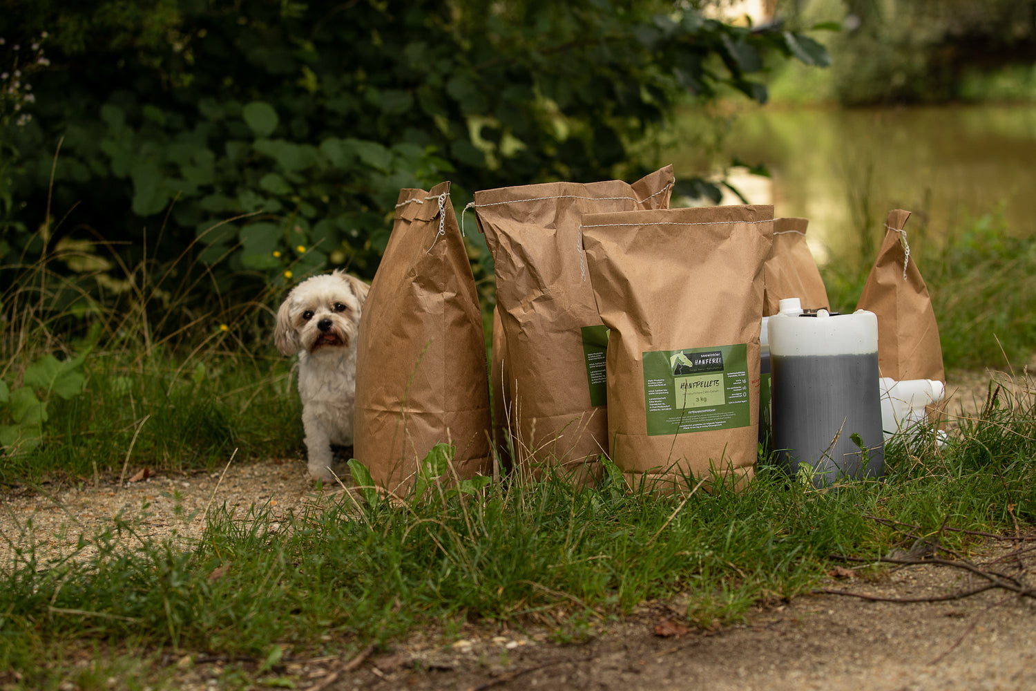 Seewinkler CBD-& und Hanf-Produkte auf einer Wiese mit Hund