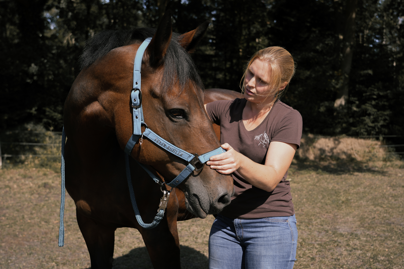 Physiotherapeutin mit Pferd in Dehnungshaltung