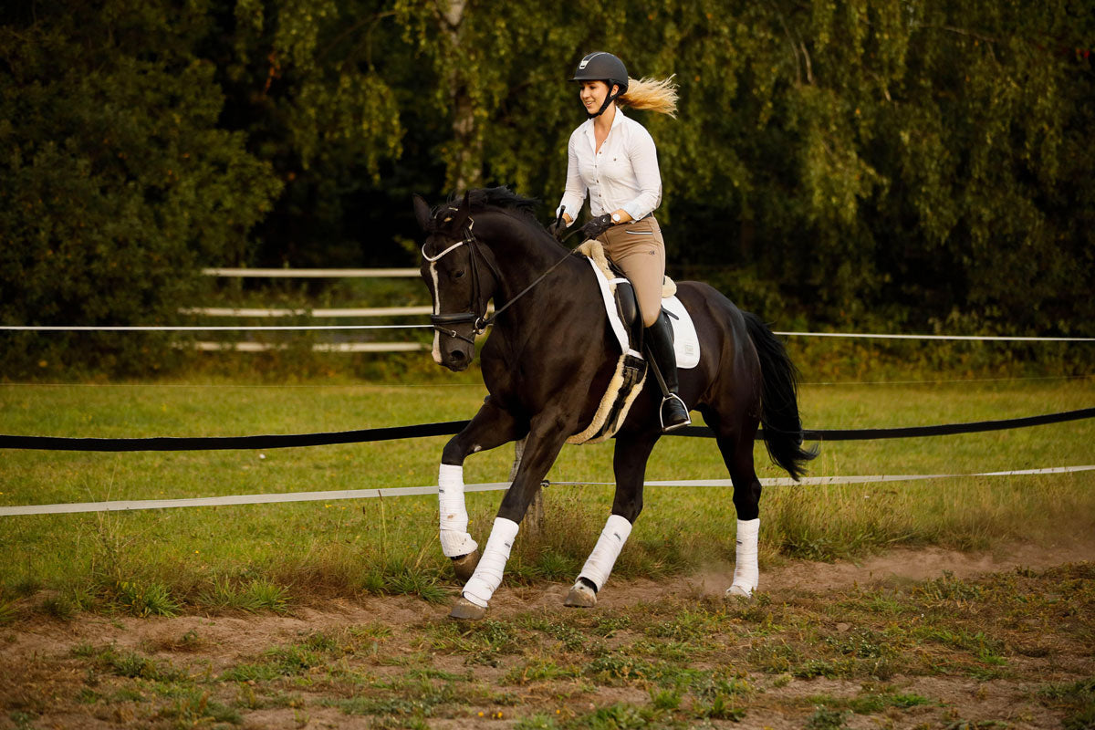 Pferd Danciano mit PSSM2 gallopiert dank Seewinkler Hanfsamen und Seewinkler Hanfsticks locker über den Platz