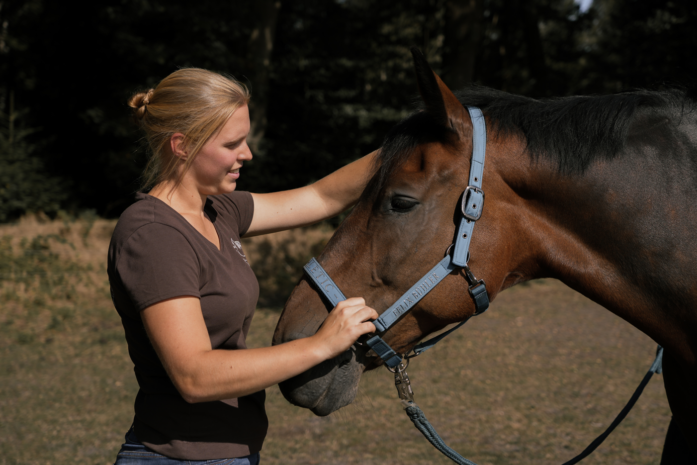 Physiotherapeutin arbeitet mit Pferd