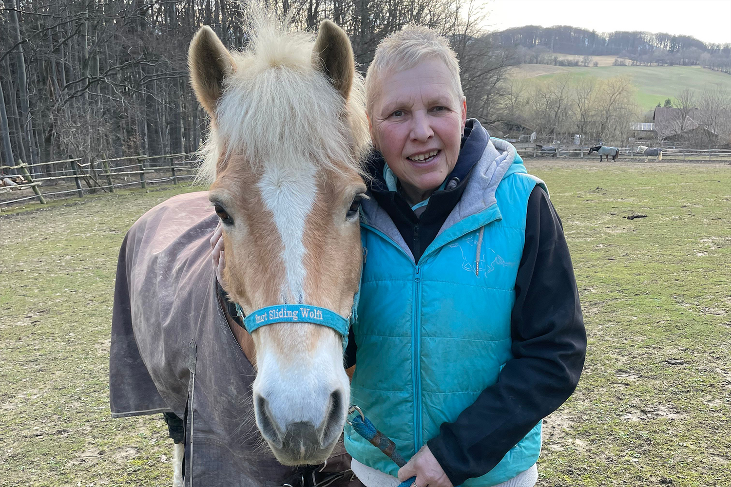 Haflinger Wolfi entspannt dank Seewinkler CBD-Öl neben Besitzerin auf der Koppel