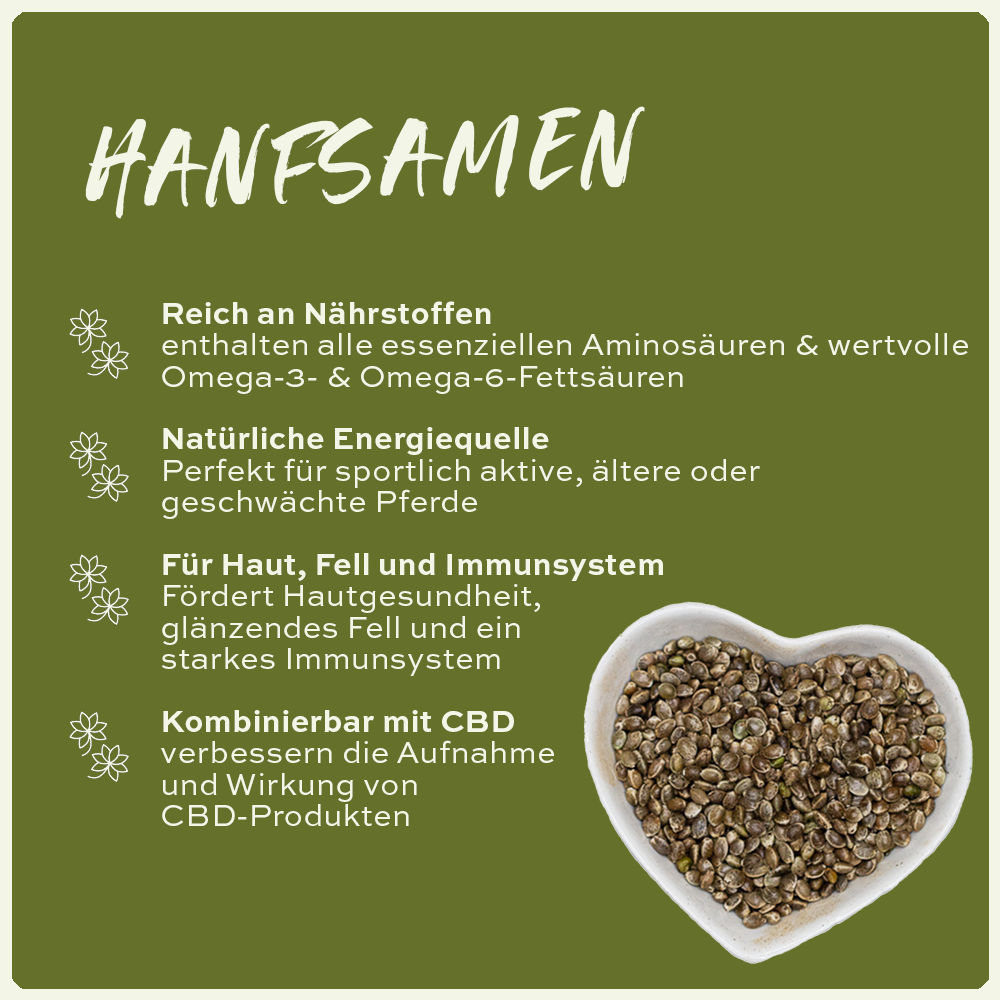 Hanfsamen