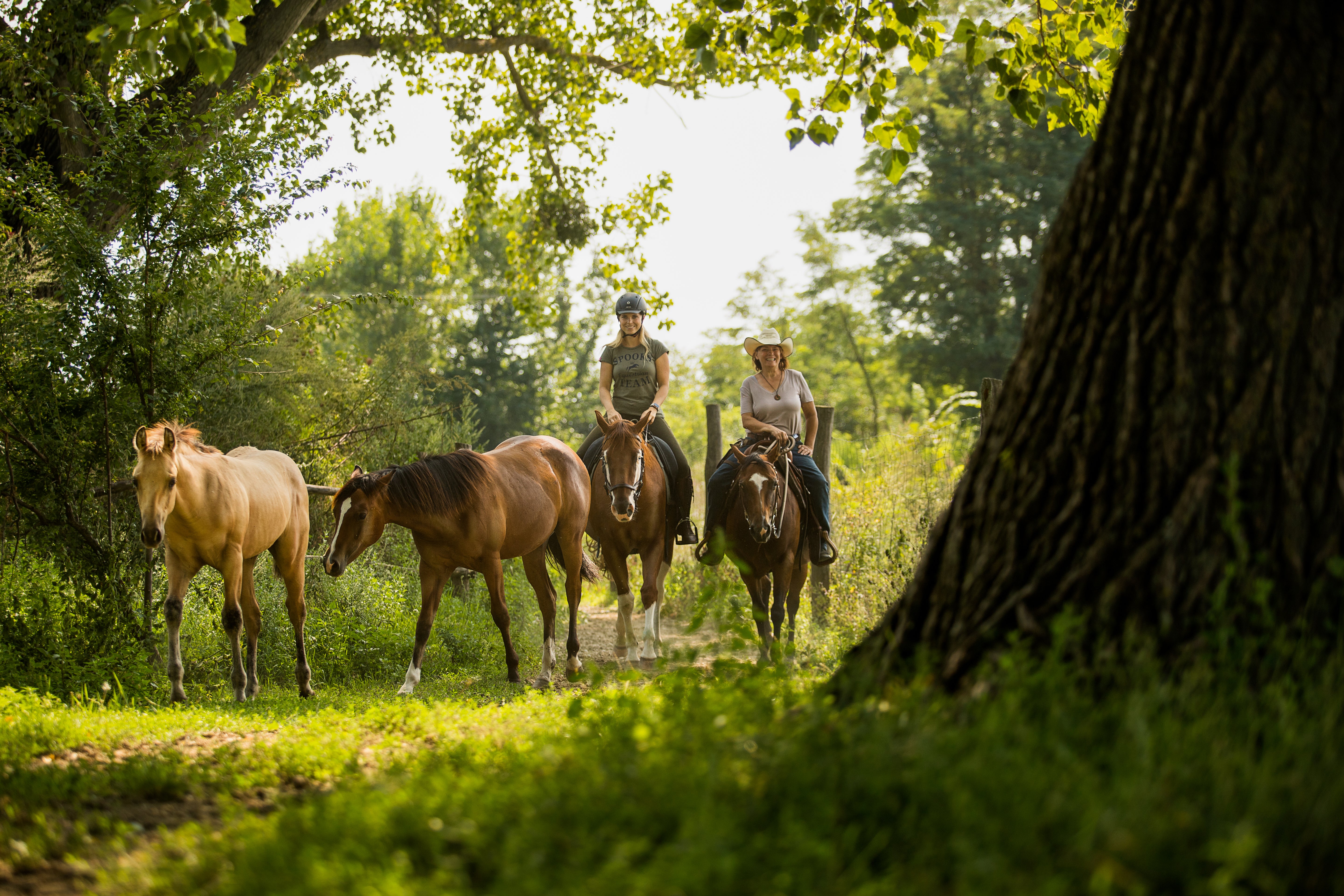 seewinkler eam beim Ausreiten im Wald