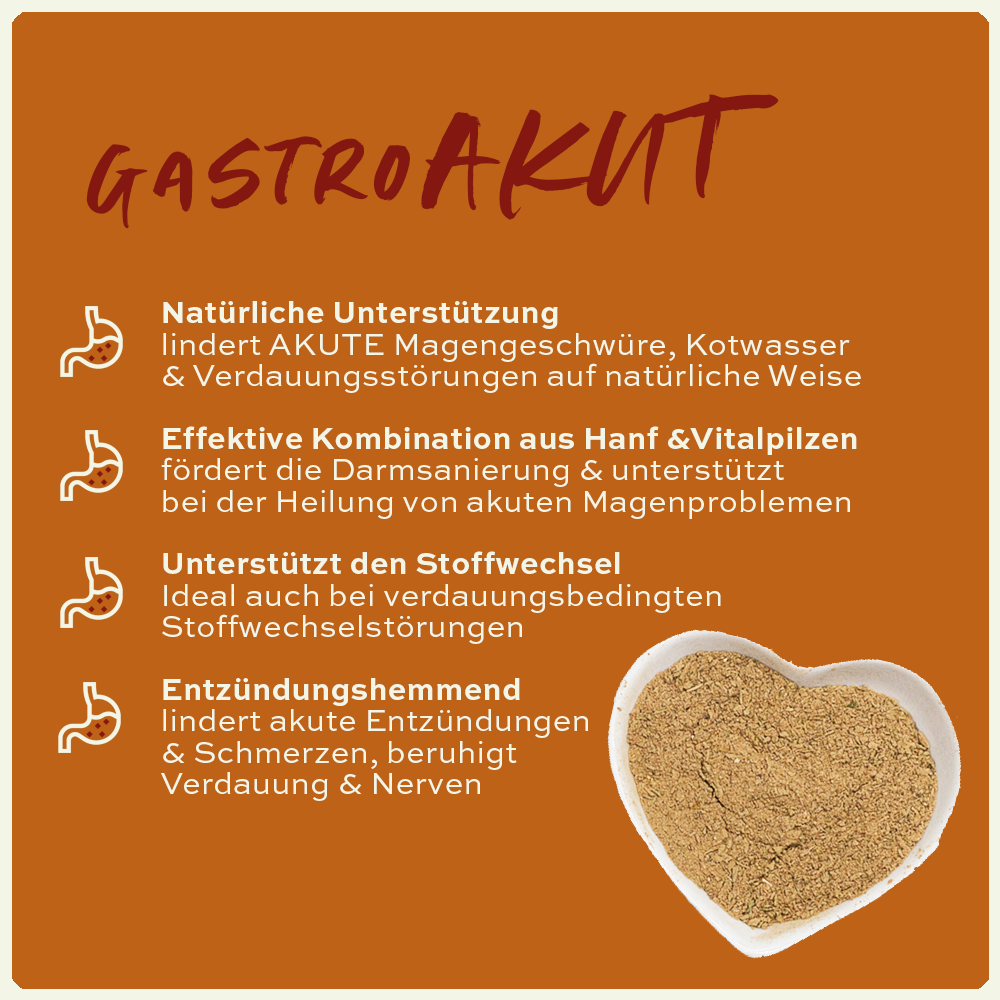 seewinkler gastroAKUT in einer Schüssel mit Produktvorteilen aufgelistet