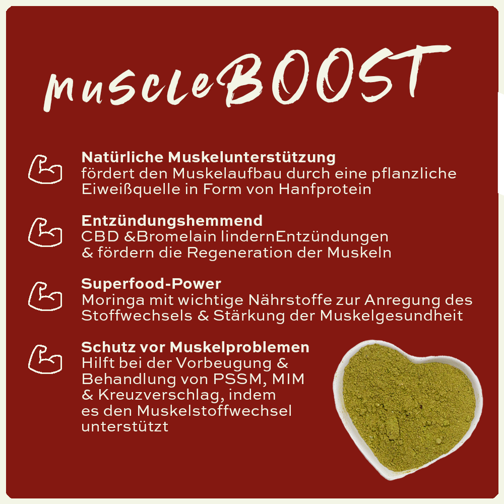 seewinkler muscleBOOST in einer Schüssel mit Produktvorteilen aufgelistet