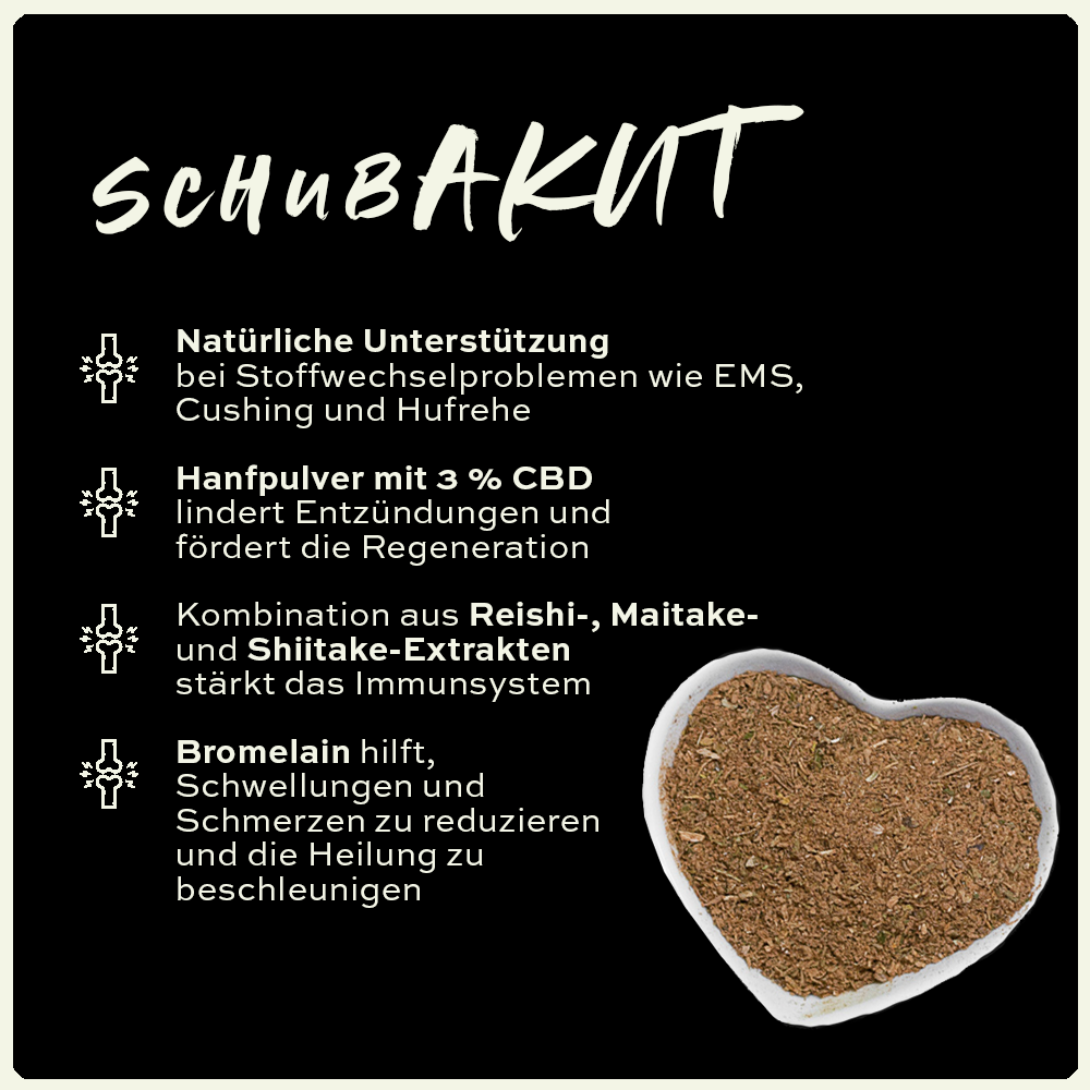 seewinkler schubAKUT in einer Schüssel mit Produktvorteilen aufgelistet