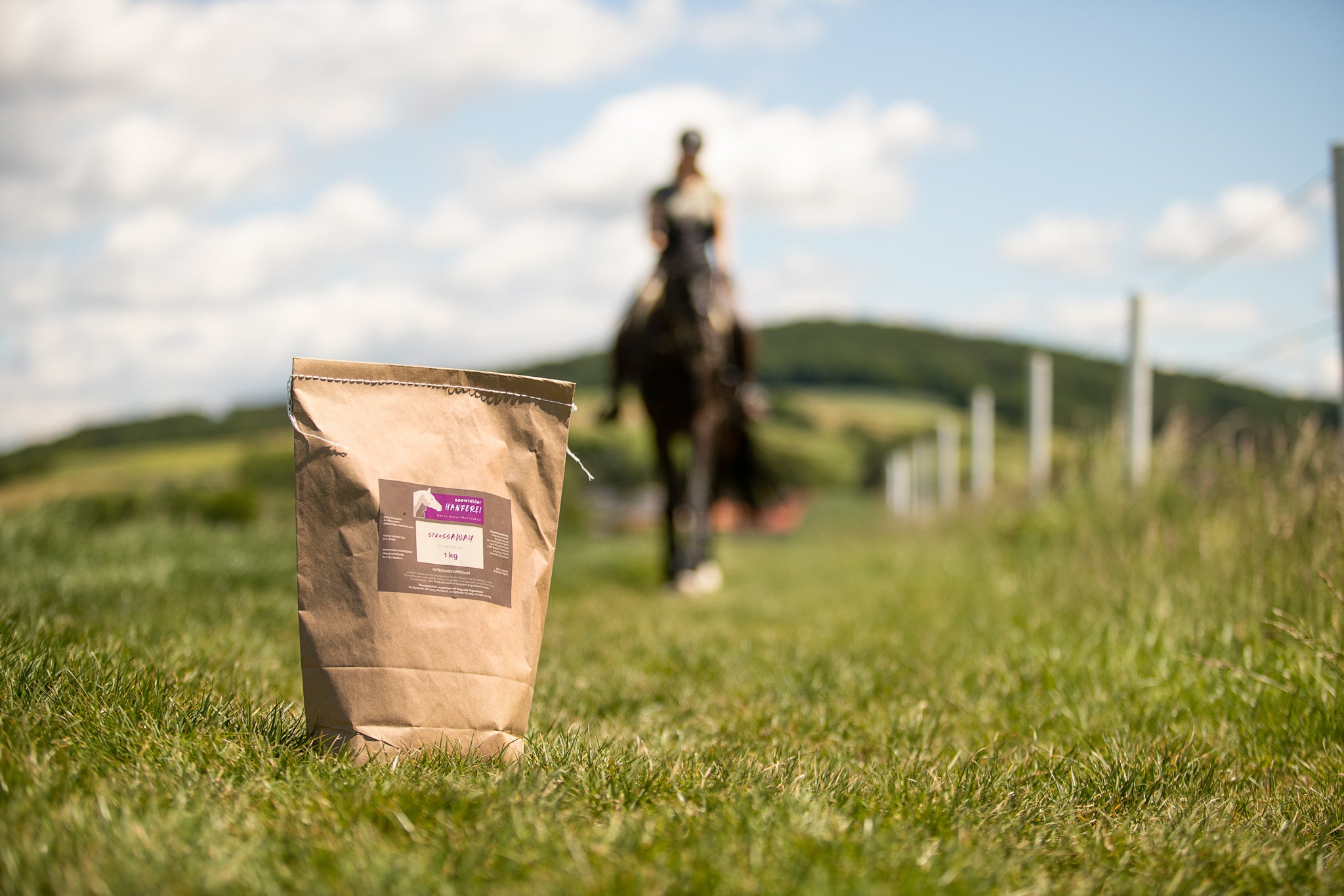 seewinkler stressAWAY mit Pferd im Hintergrund